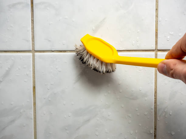 Best Residential Mold Removal  in New Eagle, PA