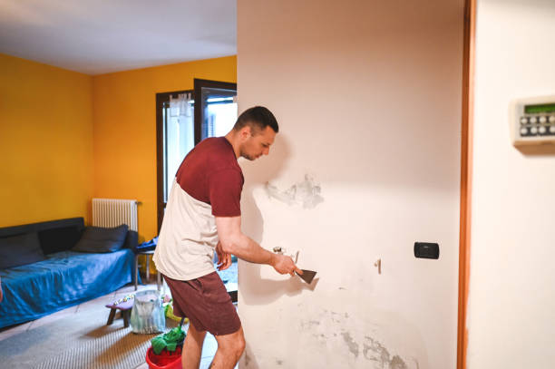 Best Office Mold Removal Services  in New Eagle, PA